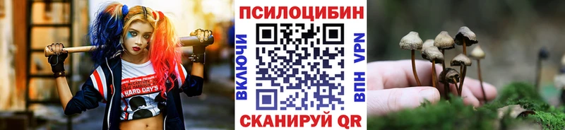 Купить где  Верхотурье  Псилоцибиновые грибы мухоморы 