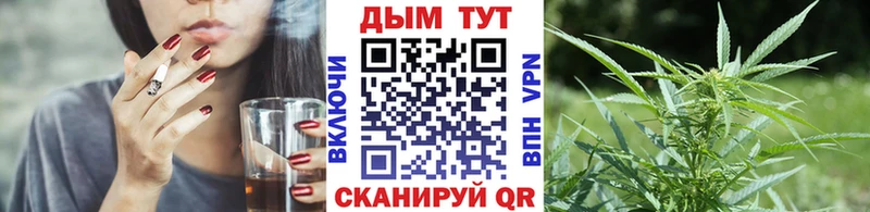 Купить где  Верхотурье  Канабис планчик 